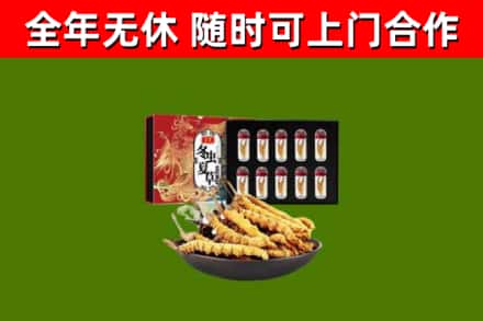 巴彦县回收冬虫夏草价格