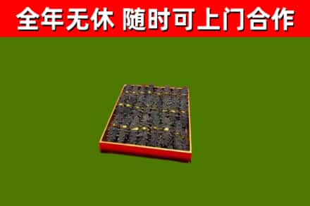 巴彦县回收海参